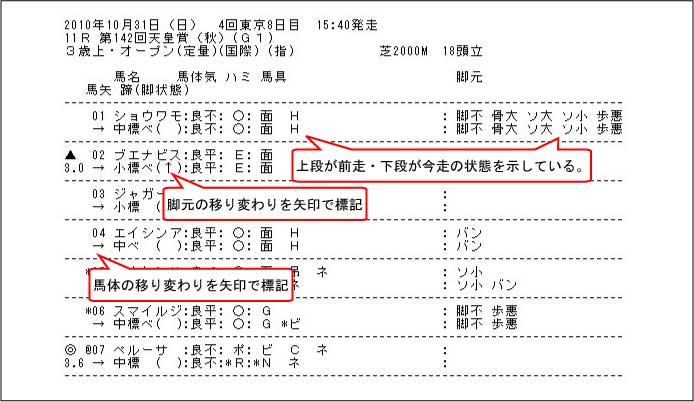 パドック詳細サンプル